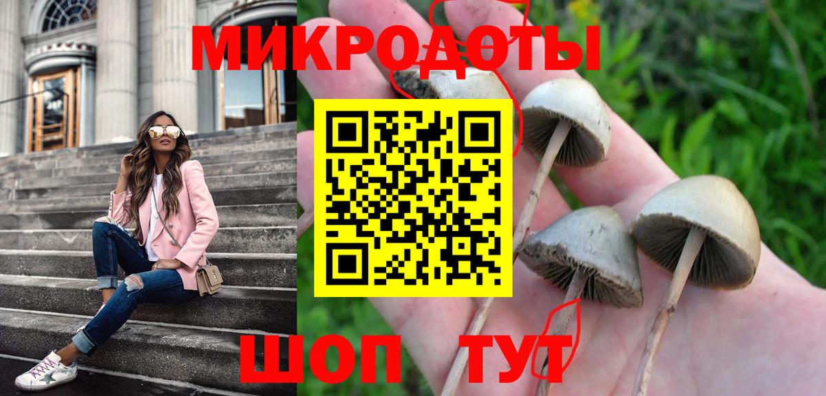 Галлюциногенные грибы GOLDEN TEACHER  где можно купить   Вход с VPN  Севастополь  Галлюциногенные грибы Cubensis 